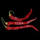 Cayenne suen